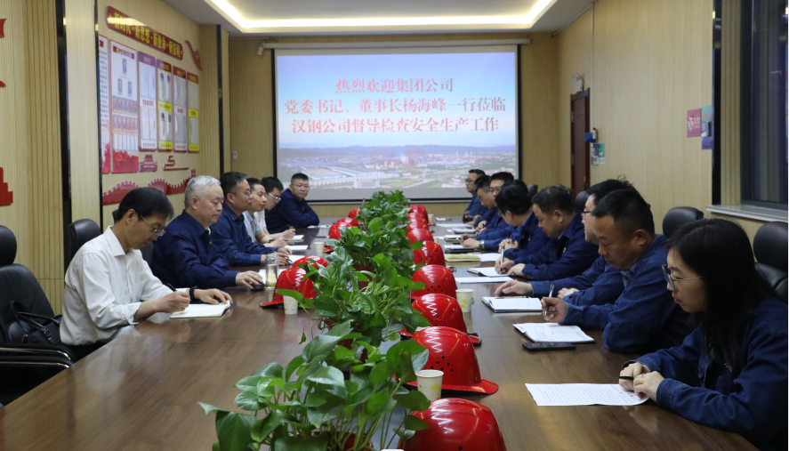 楊海峰到漢鋼公司開(kāi)展安全履職