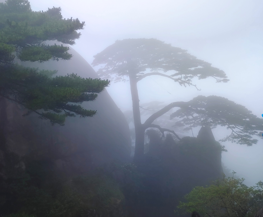 游黃山 游黃山