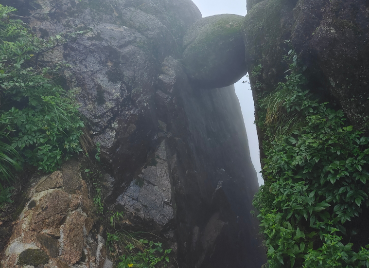 游黃山 游黃山