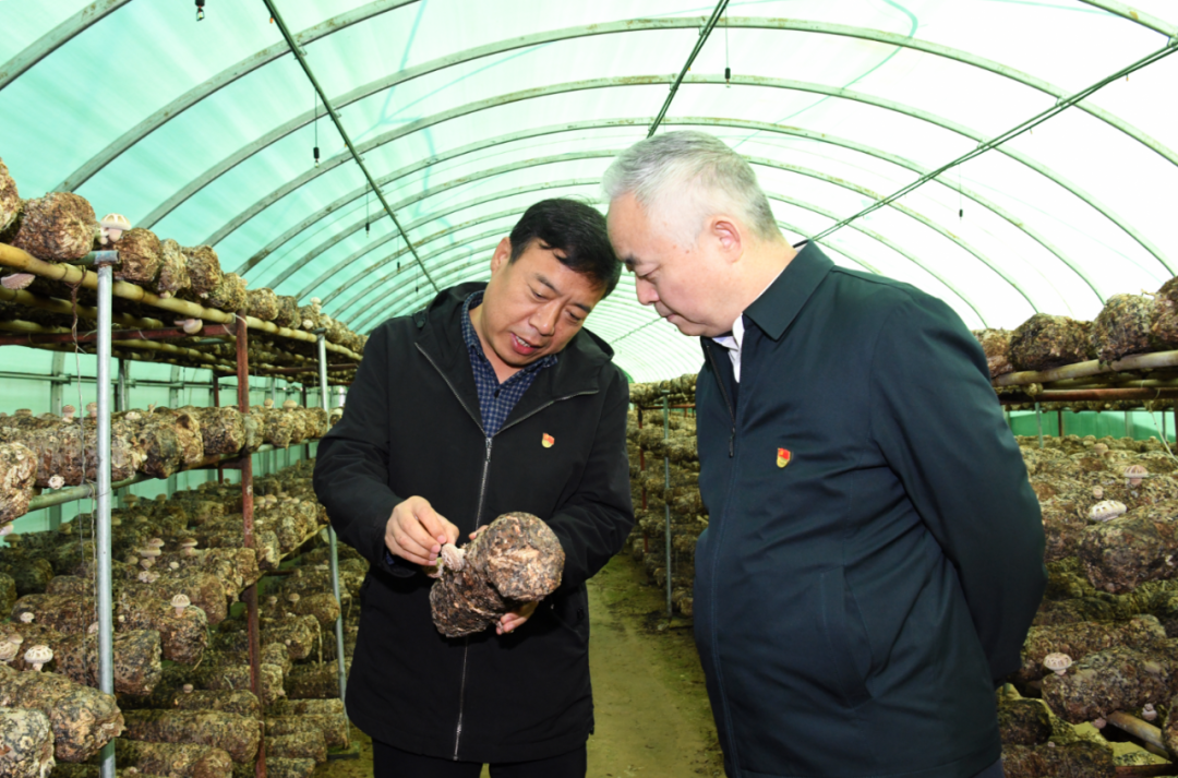 楊海峰到綏德縣西直溝村開(kāi)展助力鄉(xiāng)村振興工作調(diào)研