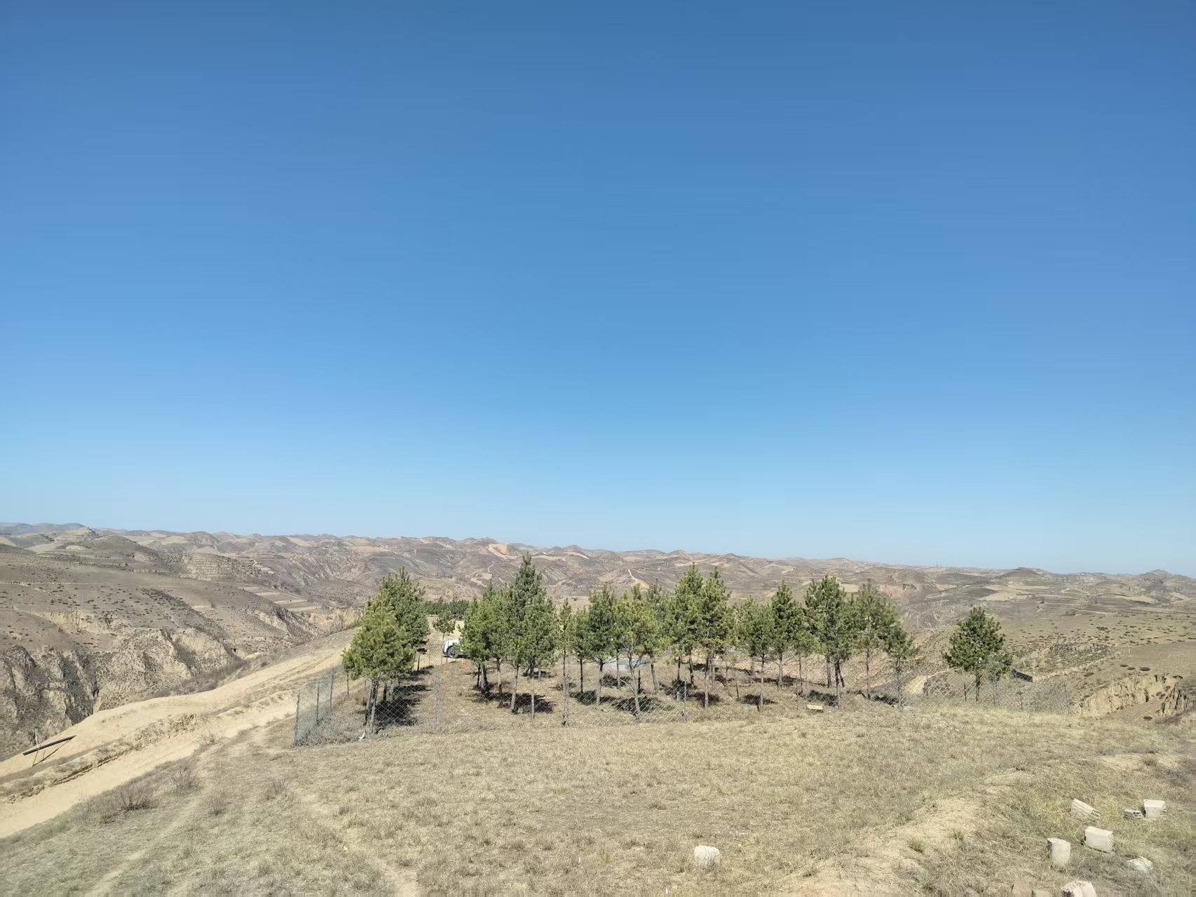 黃土地上的清明