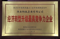 經(jīng)濟(jì)轉(zhuǎn)型升級(jí)最具競爭力企業(yè)